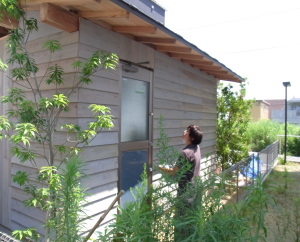 �����x���K���h��